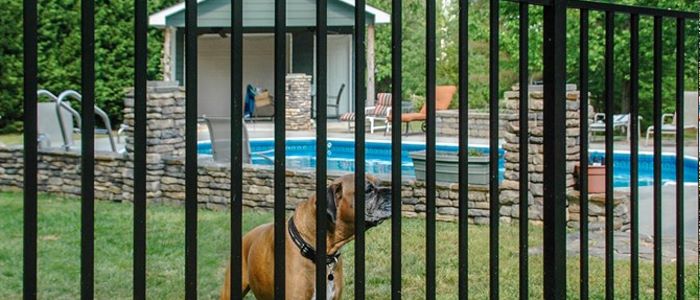 Wyoming Residential Aluminum Pet Fence